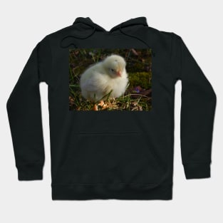 Spring Chick Hoodie